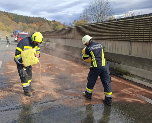 WhatsApp Image 2025-10-30 at 14.25.45 (1)